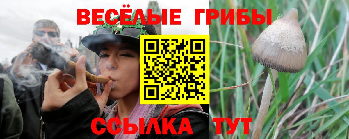 Ставрополь  Галлюциногенные грибы мицелий  Галлюциногенные грибы мухоморы  Вход с VPN 